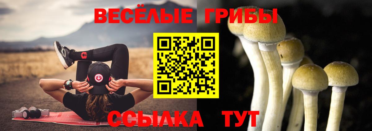 Псилоцибиновые грибы мицелий Усолье-Сибирское